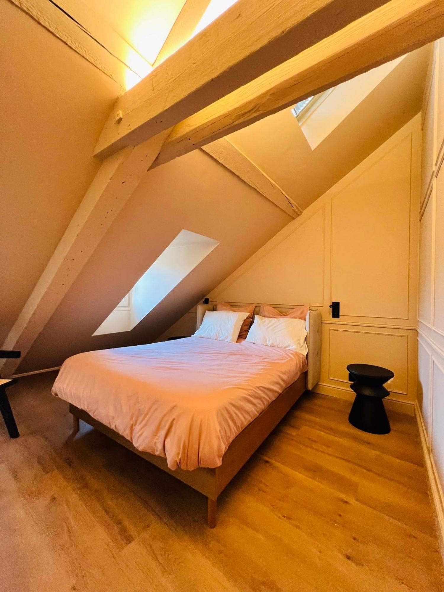 Chez Sandrine, Mon Appartement Elegant + Parking Strasburgo Esterno foto