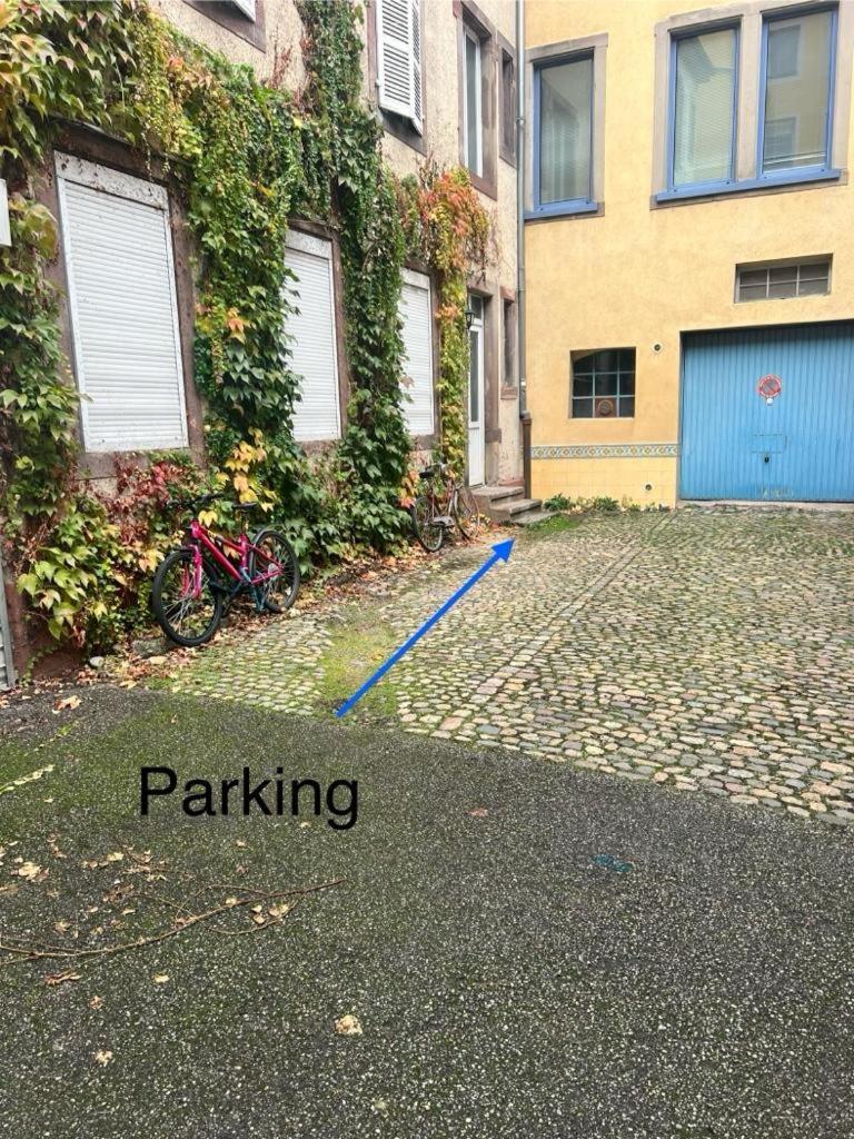 Chez Sandrine, Mon Appartement Elegant + Parking Strasburgo Esterno foto